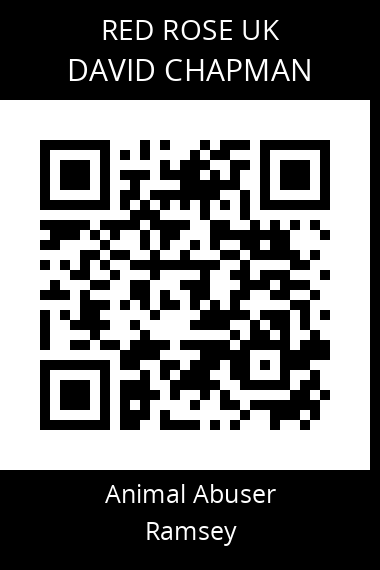 QR code for David Chapman